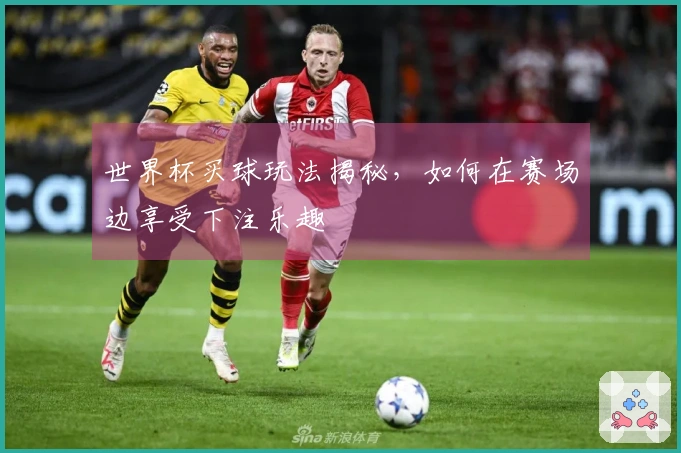 世界杯买球玩法揭秘，如何在赛场边享受下注乐趣