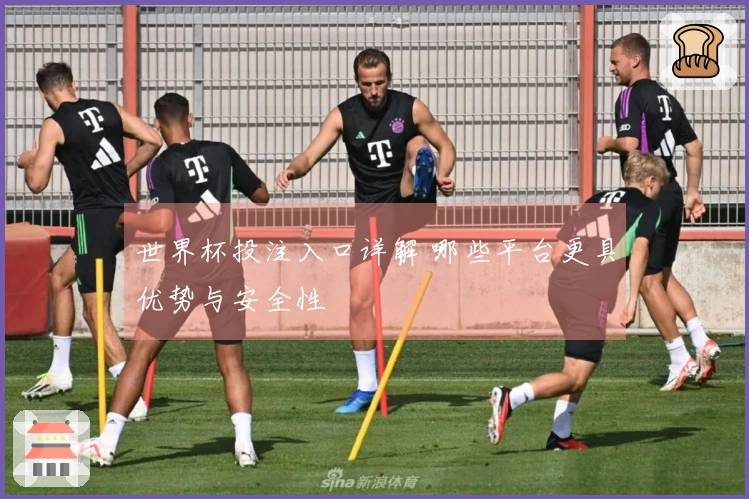 世界杯投注入口详解 哪些平台更具优势与安全性