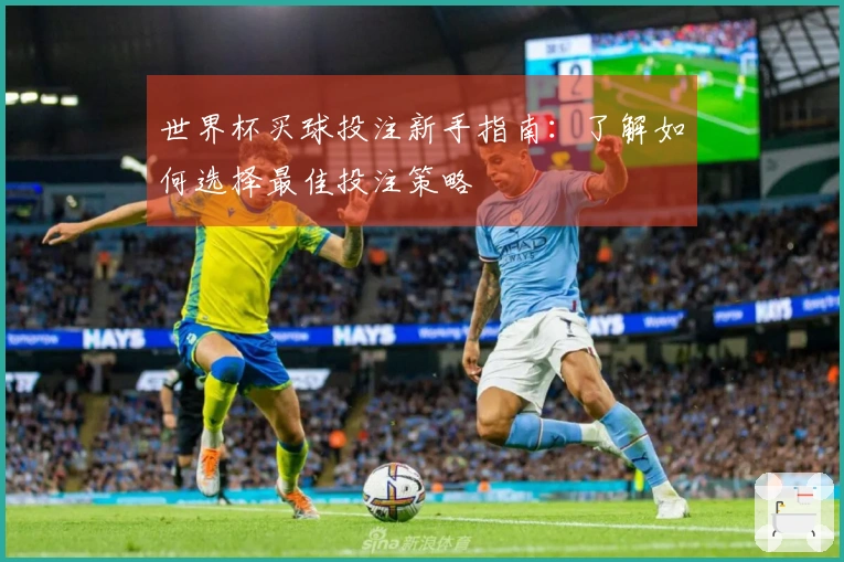 世界杯买球投注新手指南：了解如何选择最佳投注策略