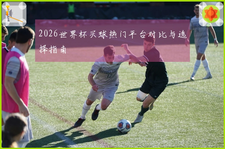2026世界杯买球热门平台对比与选择指南