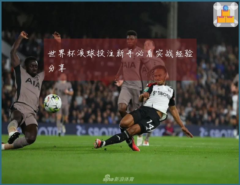 世界杯滚球投注新手必看实战经验分享