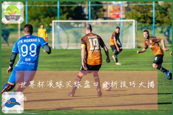 世界杯滚球买球盘口分析技巧大揭秘