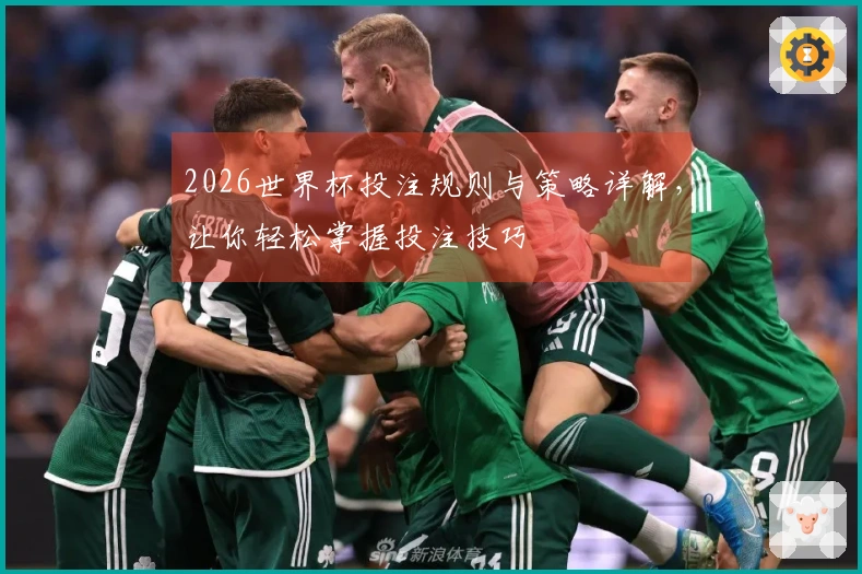 2026世界杯投注规则与策略详解，让你轻松掌握投注技巧