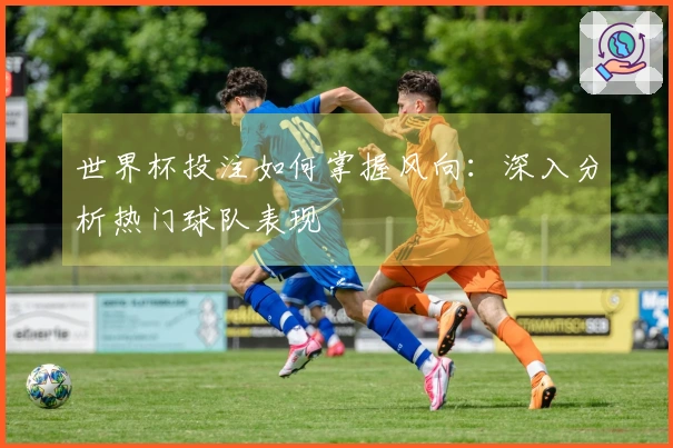 世界杯投注如何掌握风向：深入分析热门球队表现