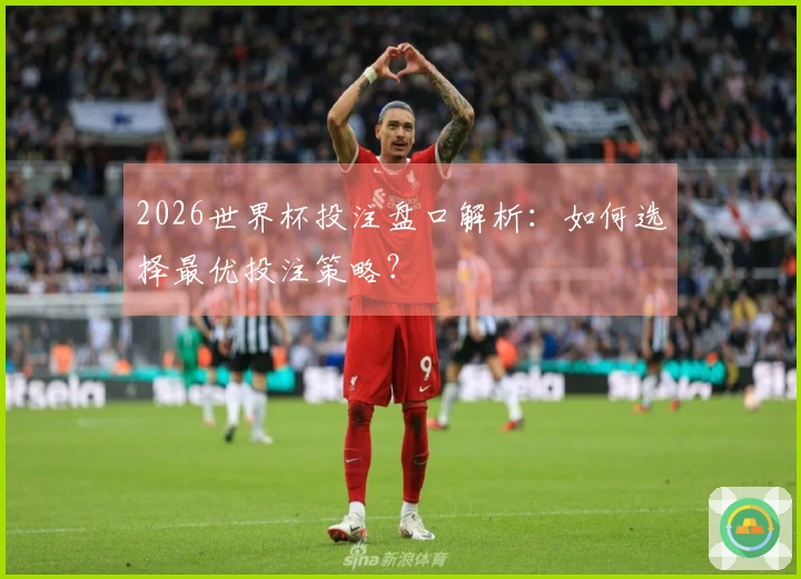 2026世界杯投注盘口解析：如何选择最优投注策略？