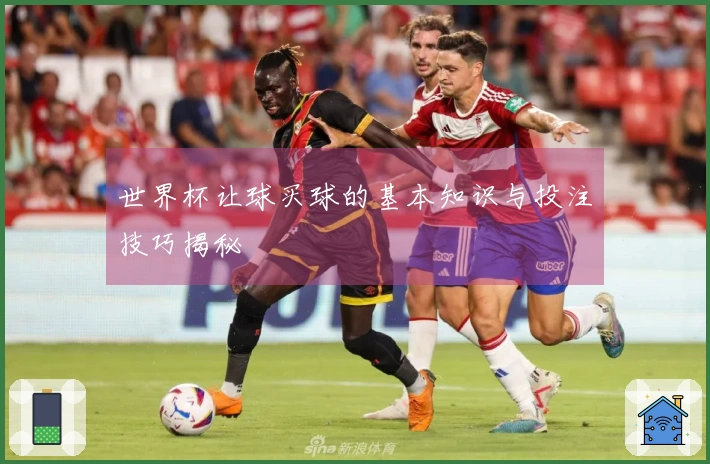 世界杯让球买球的基本知识与投注技巧揭秘