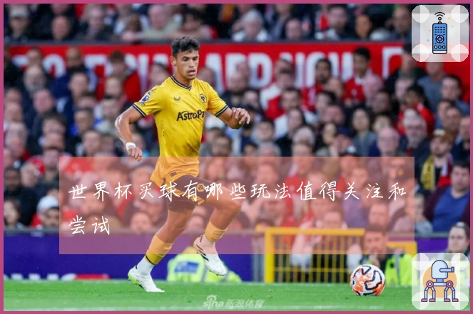 世界杯买球有哪些玩法值得关注和尝试